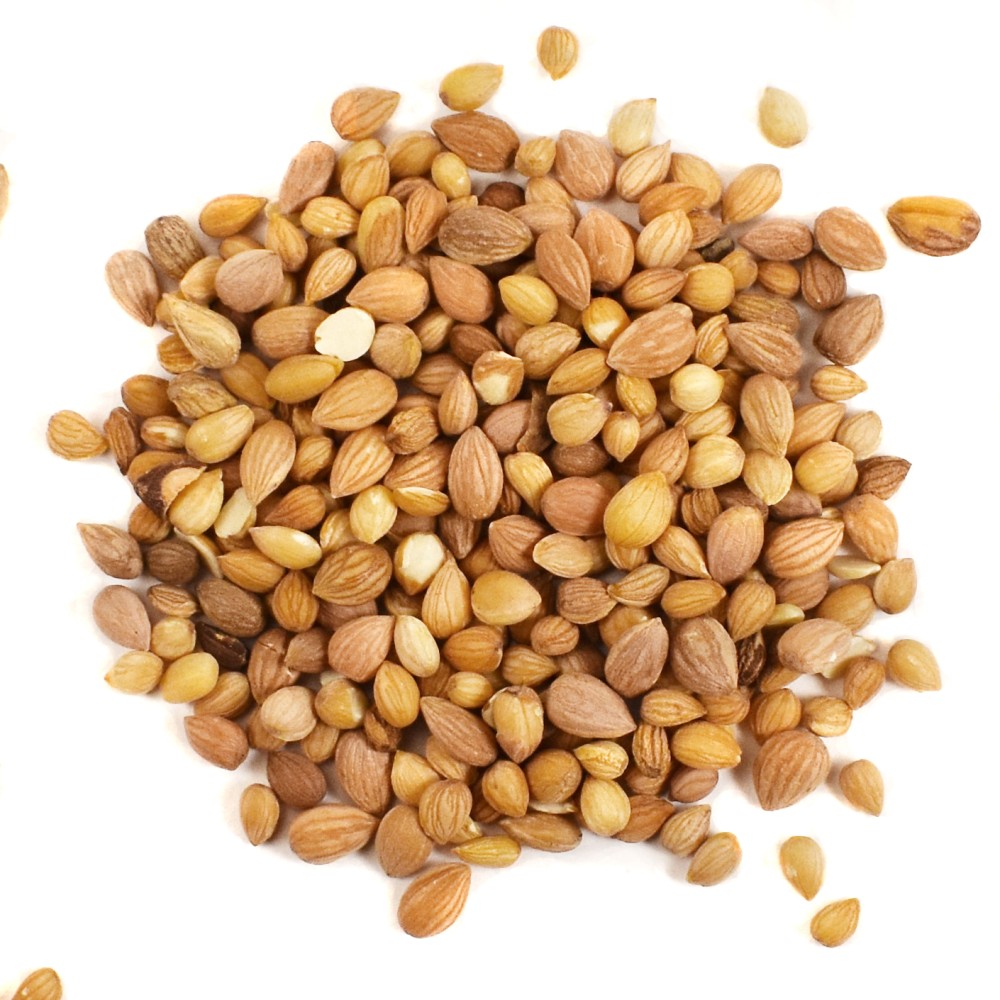 ΜΑΧΛΕΠΙ ΟΛΟΚΛΗΡΟ (Mahlab Seeds)