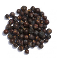 Άρκευθος (κεδροκούκουτσα, κέδρος, Juniperus communis, juniper berries)