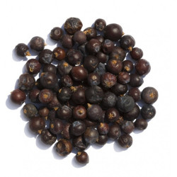 Άρκευθος (κεδροκούκουτσα, κέδρος, Juniperus communis, juniper berries)