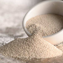 Μαγιά ξηρή (dry baker's yeast)