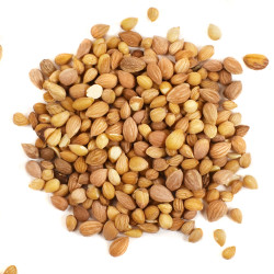 Μαχλέπι ολόκληρο (mahlab seeds)