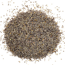 Παπαρουνόσπορος (μηκονόσπορος, poppy seed)