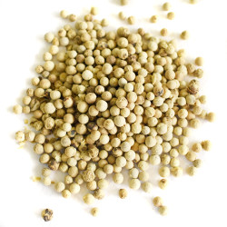 Πιπέρι άσπρο ολόκληρο (white pepper whole)