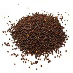 Σινάπι μαύρο (black mustard seed)