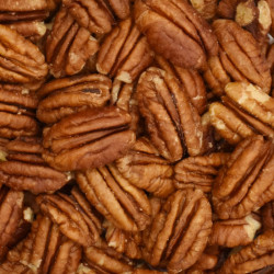 Καρύδια πεκάν (pecan nuts)