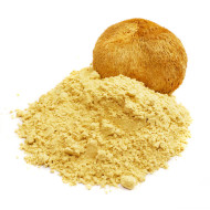 Lion's Mane (Ερίκιο το Αγκαθωτό, αρνάκι, hericium erinaceus)
