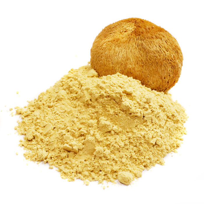 Lion's Mane (Ερίκιο το Αγκαθωτό, αρνάκι, hericium erinaceus)