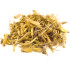 Αγριάδα βιολογική (Agropyron repens, couch grass)