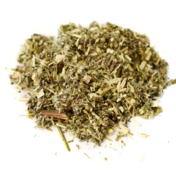 Αψιθιά, αρτεμισία (wormwood herb)