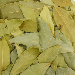 Δάφνη (bay leaves)
