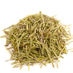 Δενδρολίβανο Ελληνικό (rosemary)