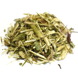 Εχινάτσια (Echinacea)
