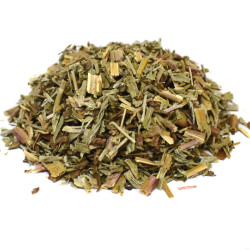 Επιλόβιο (Epilobioum, Willow Herb)