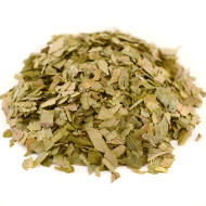 Τζίνγκο μπιλόμπα (Ginkgo biloba)