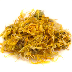 Καλέντουλα (Calendula Officanalis)