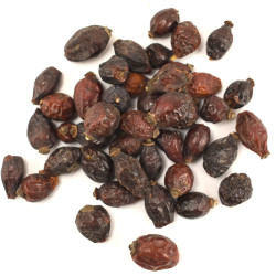 Άγριο τριαντάφυλλο καρποί (κυνόροδο, rosehip)