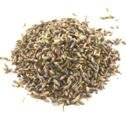 Λεβάντα ανθός (lavandula)
