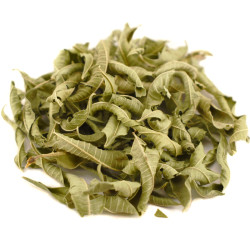 Λουίζα (lemon verbena leaves, Aloysia citrodora)