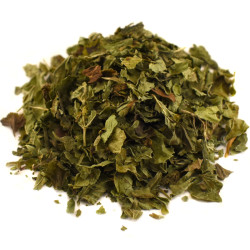 Μελισσόχορτο (lemon balm, melissa officinalis) βιο