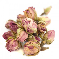 Τριαντάφυλλο ανθός