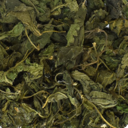 Τσουκνίδα κομμένη (nettle, urtica dioica)